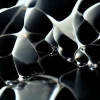filledabitch 