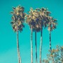 ALAN MOISES - Hwy 190 | Bouncy/Tropical/Happy Beat