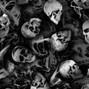 Le Jin - Kill Them All