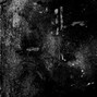 Le Jin - Dust (w/ Nasty)