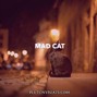 Plutony beats - Mad Cat