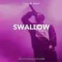 Plutony beats - Swallow