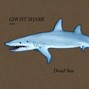 Ghost Shark - Dead Sea