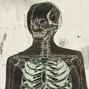 Vypress - Cxnfirmed