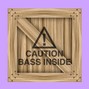 WHO WANTS THE BASS ? - [Bmin] sex type beat