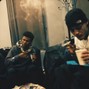 gonzo - stems