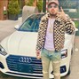 gonzo - audi