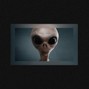 californium.music - alien