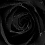 InTheGameBeatz - SUFFER SILENTLY
