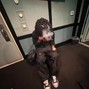 scruf - forest prod. scruf x thankyouwill