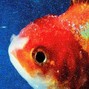KBBQ - vince staples almost used this shit on big fish theory