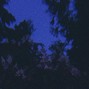 GOONPALACE - minds