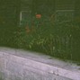 GOONPALACE - 605am