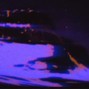 GOONPALACE - anotheroxy