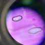 p.0nline00 - Bad day    (p.online & crypp )