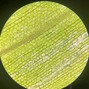 p.0nline00 - computer   (p.online &crypp)