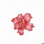 Bloom - gh0ul