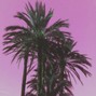 TRAVEHALL - MIAMI WAVE