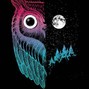 pook - Night Owl