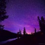BEATOVEN - purple nights
