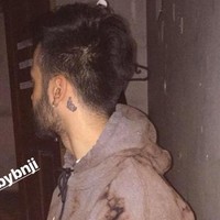dromer