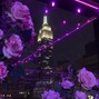 ugbfhbhgdgh - Party