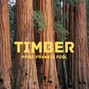 Frankie Pool - Timber - F Minor - 130 BPM