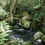 PhantomMizzy - Nature Reserve