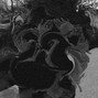 Kay - NECKPIECE