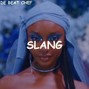 De Beat Chef - "Slang" - Ayra Starr x Wizkid x Fireboy x Raggaeton Type Beat 2024