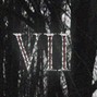 VII - Evening Star 