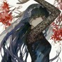 oiwa - risk