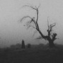 falci - morgue