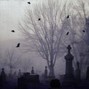 falci - silhouettes