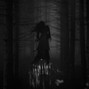 falci - morrigan