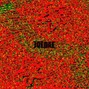 JOEDAE - COWBELL BEAT