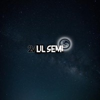 2vlilsemi