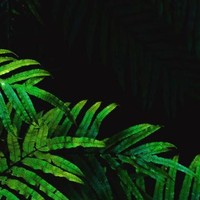 ODDVIBES