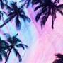 Shaqi - BEACH