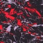 Prophet - Coral