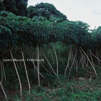Canis Major