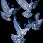 richiekbeats - BIRDS