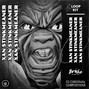 XAN BRICKZ [ALLSLAPZ.COM] ☑️  - XAN STINKMEANER [Loop Kit] by XAN BRICKZ