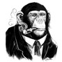 V I S I O N - MONKEYBUSINESS
