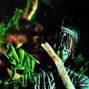 kingvgoat - smokingskul+tdf +crackfood+glokk40spaz type beat -"Smokings Kool" [Prod. King V]