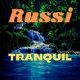Russi - Tranquil (Drake Type Beat) (95 BPM) (F Minor)