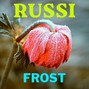 Russi - Frost (Experimental Drill Type Beat) (130 BPM) (C# Minor)