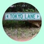 GVFF - TOKYO LANE