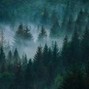 TravisWright - Twilight