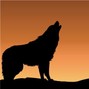 AdamReally - Howl